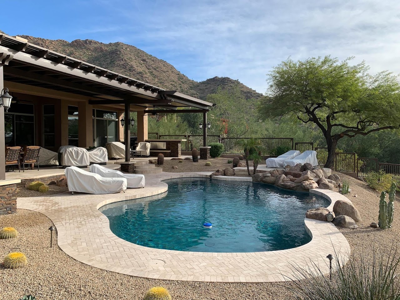 Gorilla Pools project